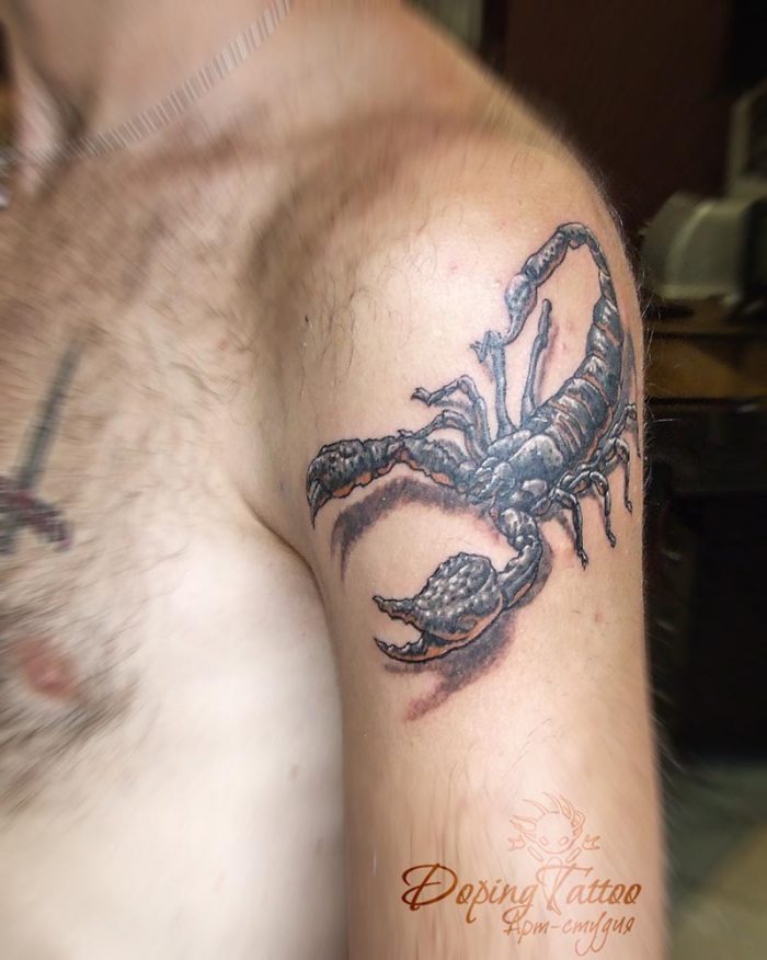 Скорпион