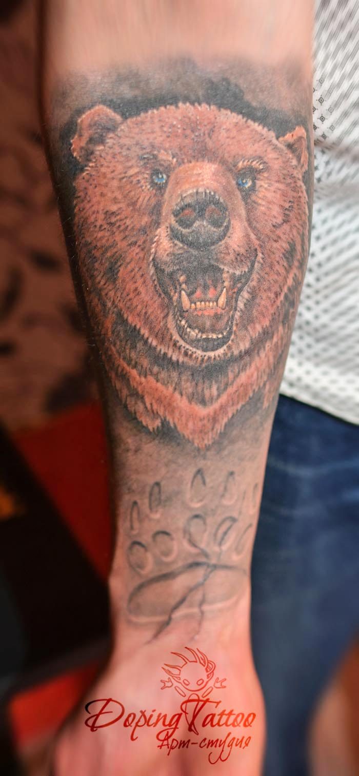 Медведь