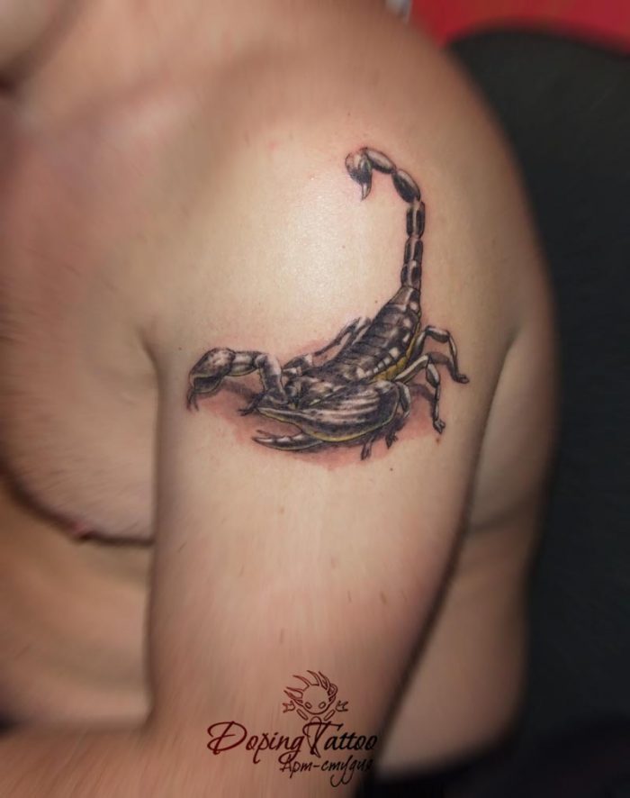 14_scorpion