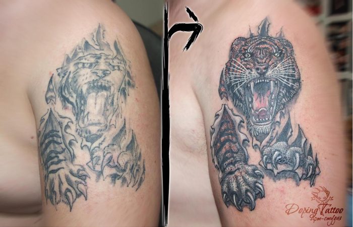 19_ tigr