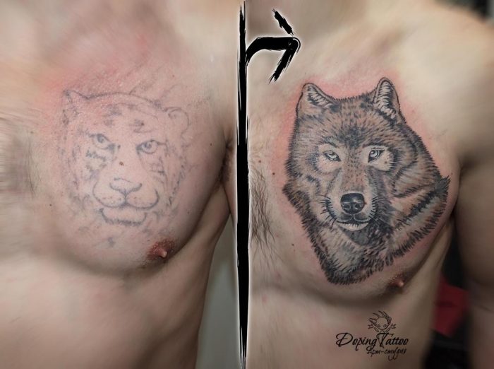 22_wolf1