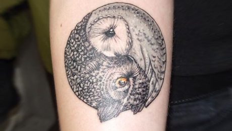 20_owl Совы инь-ян (эскиз не мой)