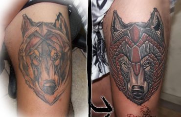 22_wolf